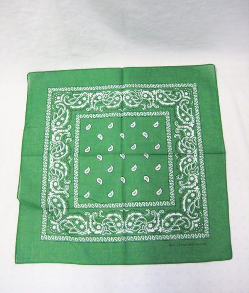 84 Wholesale Novelty Bandanas Paisley Cotton Bandanas In Green - at ...